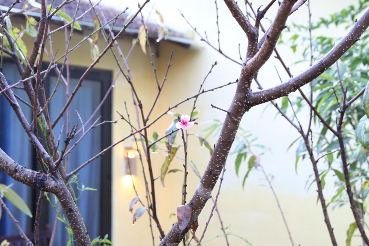 L'Amant Homestay Dalat Eksteriør bilde