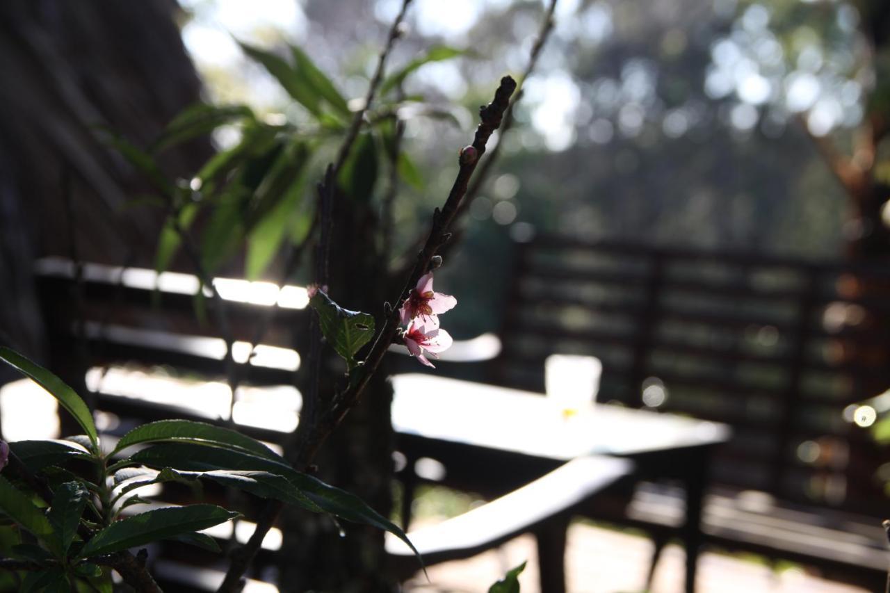 L'Amant Homestay Dalat Eksteriør bilde