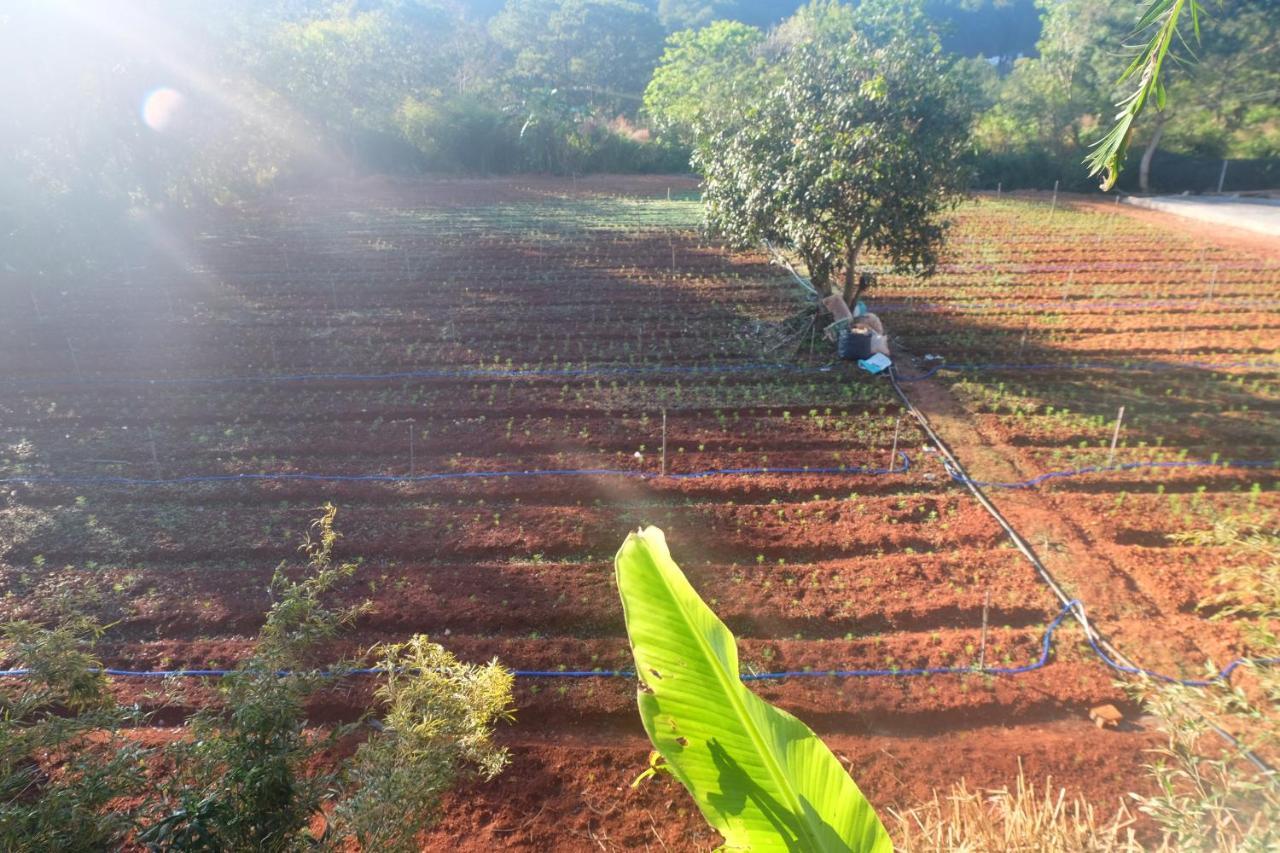 L'Amant Homestay Dalat Eksteriør bilde